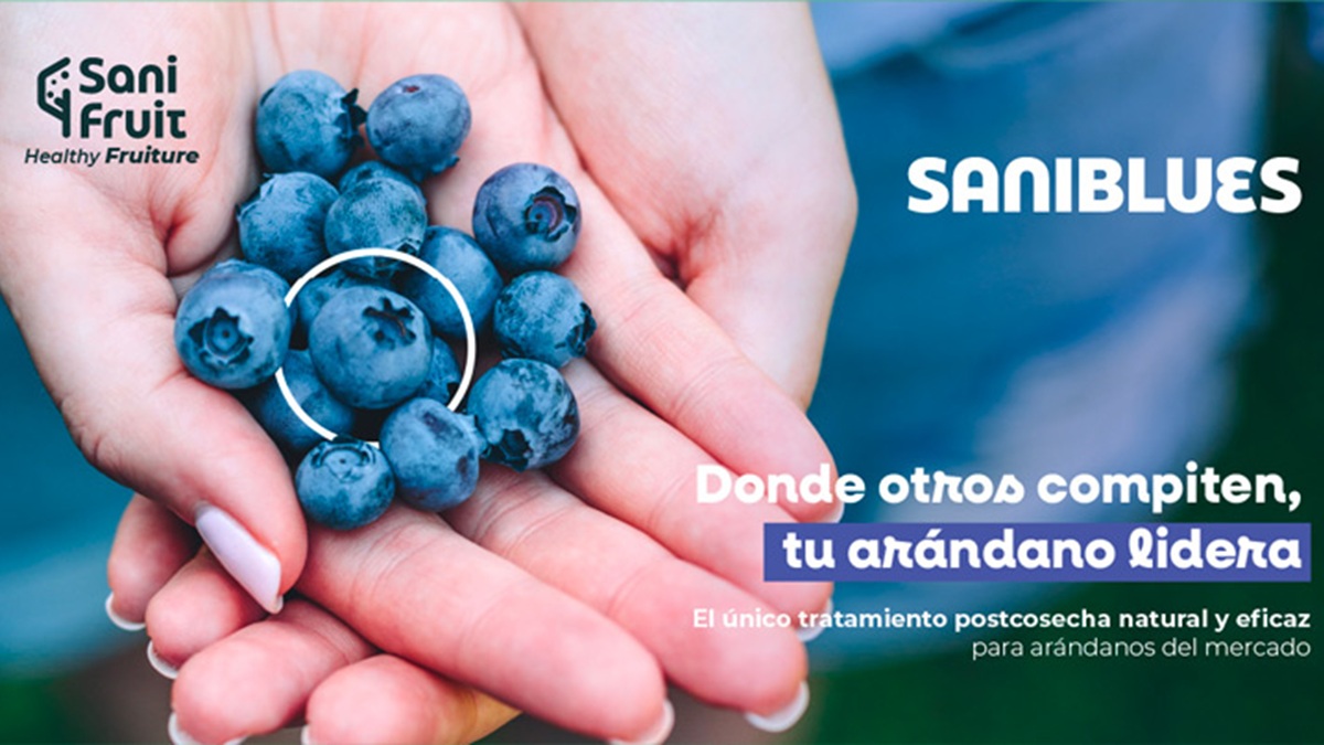 El único tratamiento poscosecha natural y eficaz para arándanos del mercado.jpg